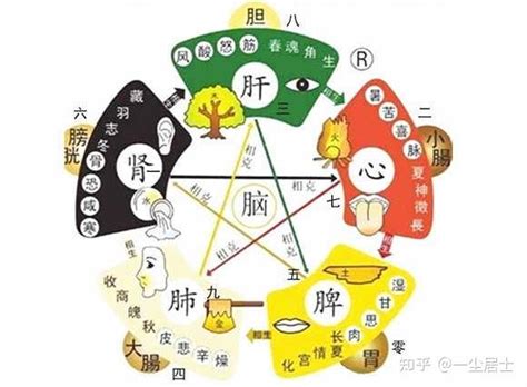 火多木焚|五行关系及象意